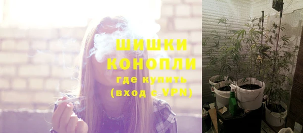 экстази Арсеньев
