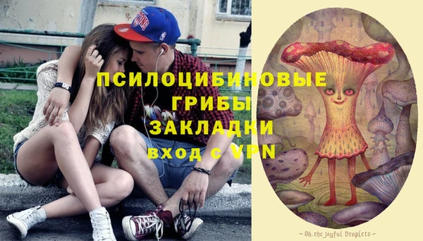 экстази Арсеньев
