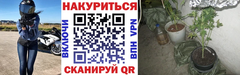 МАРИХУАНА индика  купить наркоту  Сунжа 